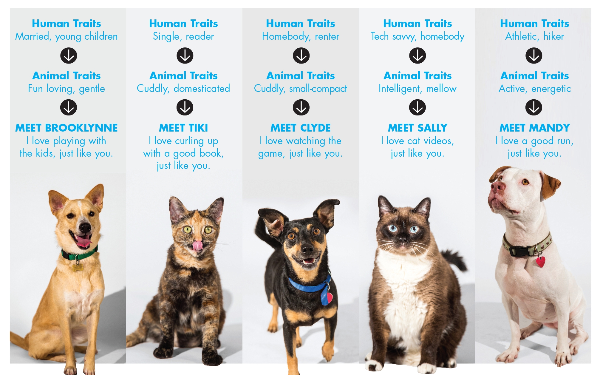Programmatic Goes to the Dogs in Saatchi Pet-Matching Effort | Ad Age