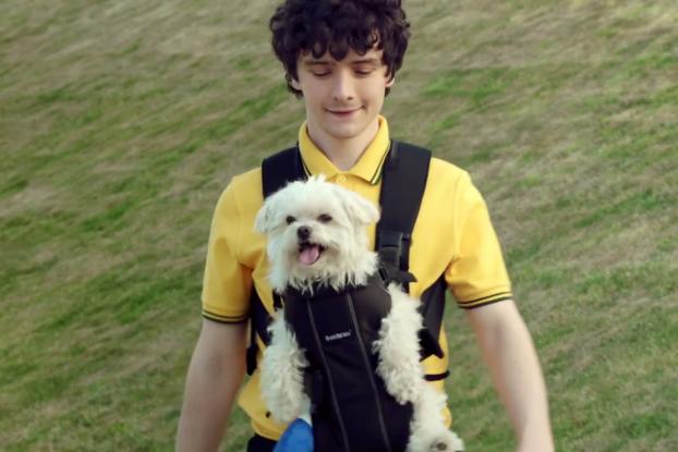 amazon commercial dog amazon commercial dog