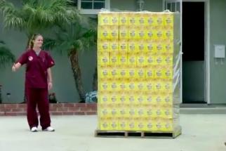 Wheat Thins